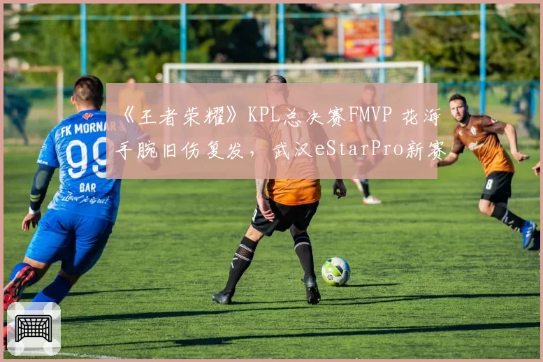 《王者荣耀》KPL总决赛FMVP 花海手腕旧伤复发,武汉eStarPro新赛季阵容如何调整?