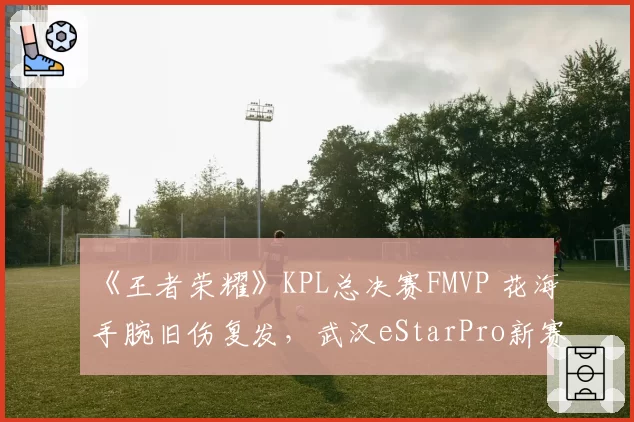 《王者荣耀》KPL总决赛FMVP 花海手腕旧伤复发,武汉eStarPro新赛季阵容如何调整?